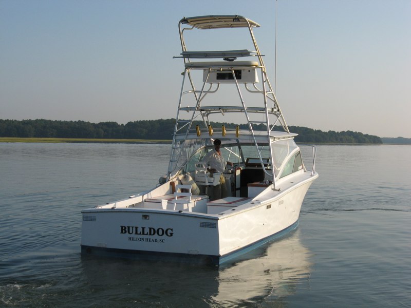 The_Bulldog